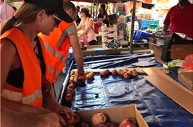 Πάνω από 2.450 κιλά φρούτα & λαχανικά έσωσαν & προσέφεραν οι εθελοντές του THI Australia τον Ιούνιο