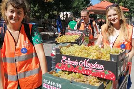 1.000.000 kilos of food from "Boroume at the Farmers’ Market" to charitable organizations