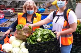 "Boroume at the Farmers’ Market": excellent results in a difficult year