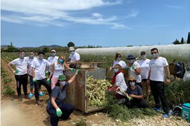 300 kg of leeks were saved thanks to the volunteers' team of MSD