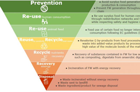 Hierarchy of food waste prevention & waste management