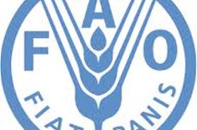Το ΜΠΟΡΟΥΜΕ παρουσιάζεται στη Διεθνή Οργάνωση Τροφίμων και Γεωργίας!