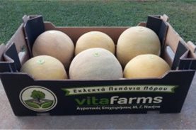 3.920 κιλά πεπόνια προσφέρθηκαν από τη Vita Farms σε ανθρώπους που έχουν ανάγκη