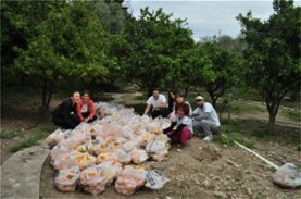Δράση συλλογής πορτοκαλιών της ομάδας του ΜΠΟΡΟΥΜΕ στο Αίγιο
