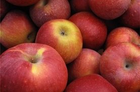 100 κιλά μήλα από τον Φρεσκούλη, σε 60 άπορες οικογένειες στο Μενίδι