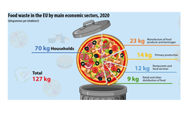 At 57 million tons of food, the total food waste in the EU in 2020